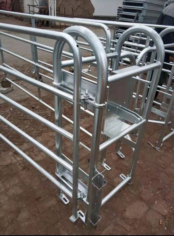 Photograph of a free farrowing pig crate inside a building.