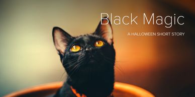 Black cat with glowing eyes and Halloween theme.