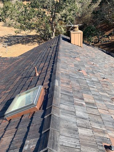 Roof with a chimney, skylight, and vents surrounded by trees.