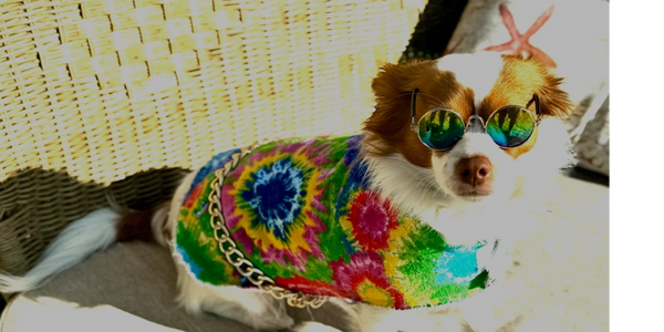 Chanel, diggin her threads.