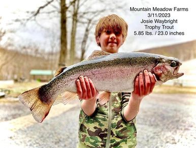 Mountain Meadow Farms