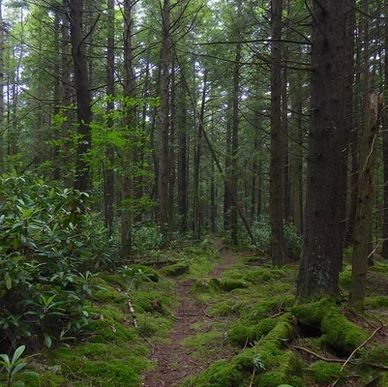 Otter Creek Wilderness