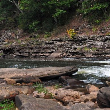 fishing the dry fork river