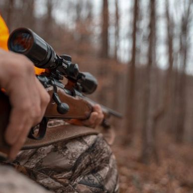 Hunting West Virginia