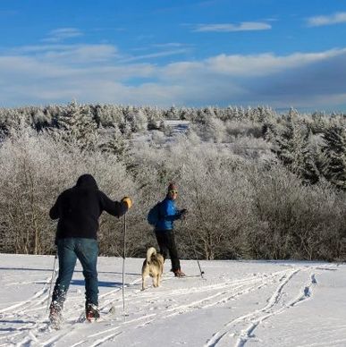 White Grass Cross Country Ski Center