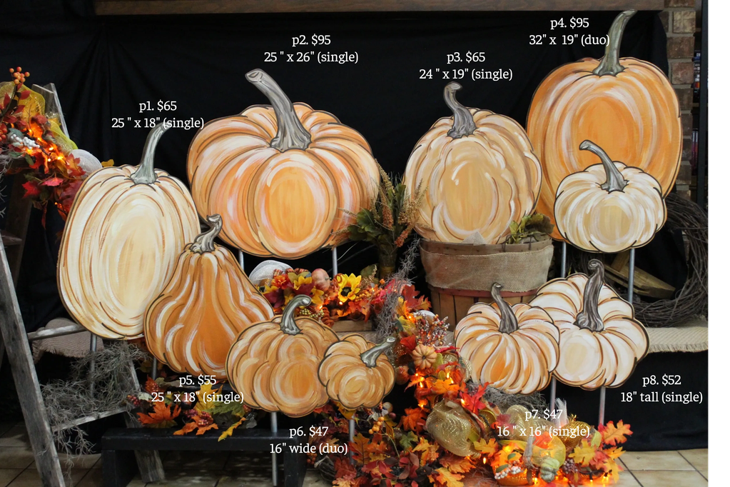 These beautifully assorted pumpkins
