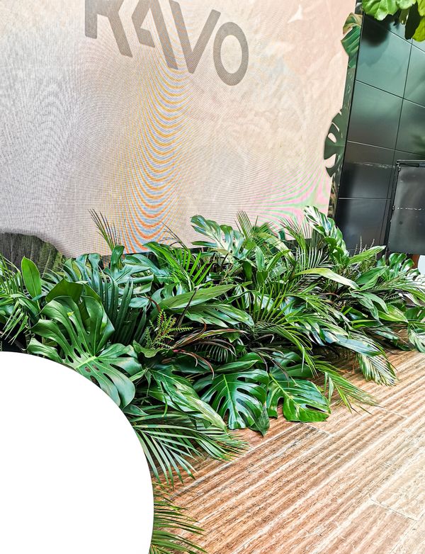 Tropical arrangements