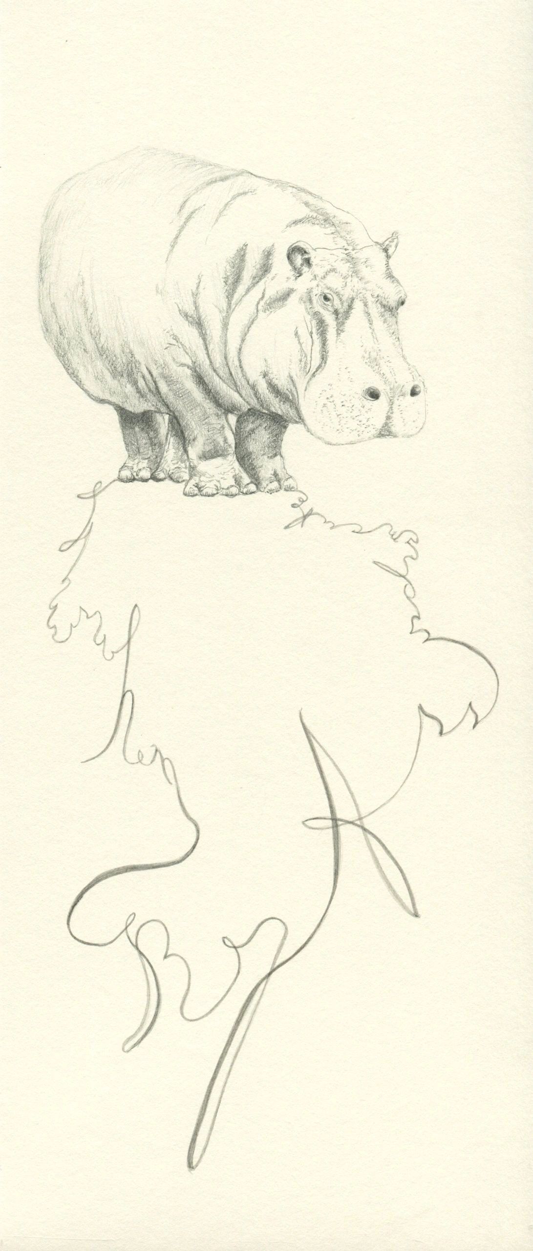 Ink drawing Hippopotamus graphite, text art on archival paper