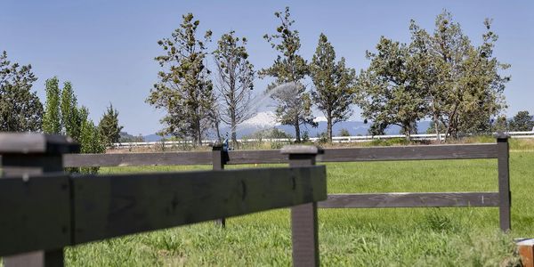 Green field with wooden fence and distant snow-capped mountain.
