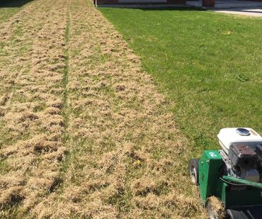 CGM LawnCare & Landscaping