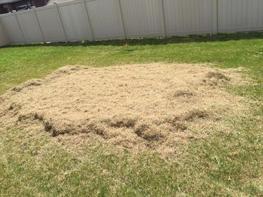 CGM LawnCare & Landscaping