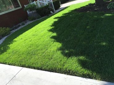 CGM LawnCare & Landscaping