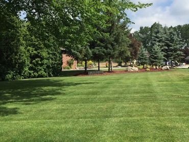 CGM LawnCare & Landscaping