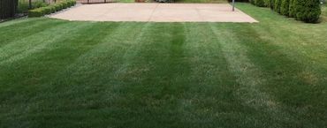 CGM LawnCare & Landscaping