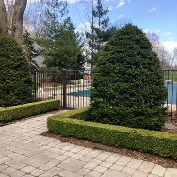 CGM LawnCare & Landscaping