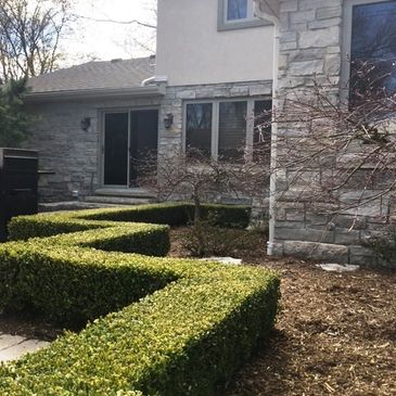 CGM LawnCare & Landscaping