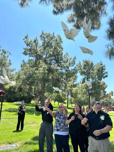 White Dove Release for memorials