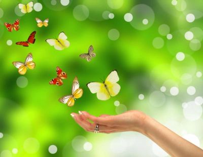 Hand releasing colorful butterflies into the air.