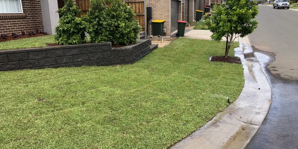 sir walter buffalo installed in Glenwood by Sydney Turf Installers