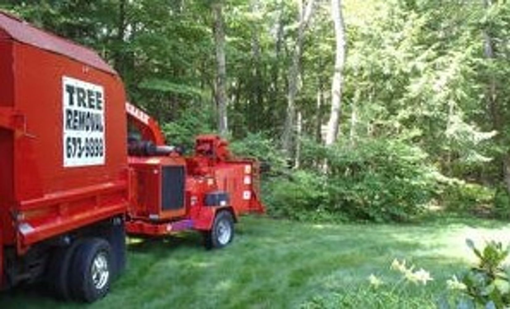 CC&L Tree Service - 860-883-0016