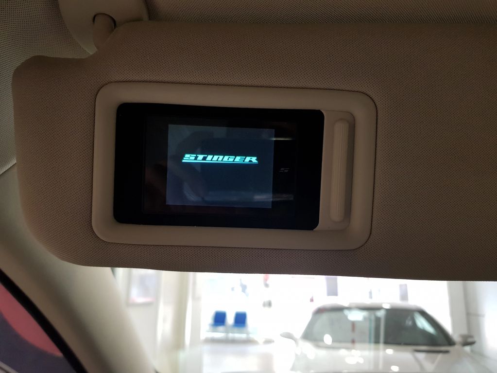 Stinger Vip en el parasol conductor