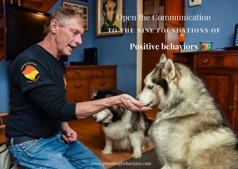 image376