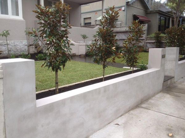 Garden bed in sydney - New lawn and row of Magnolia.