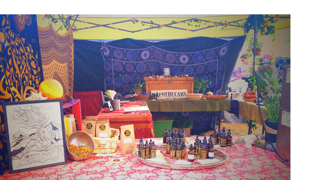 Festival apothecary booth, herbs for sale at a music event