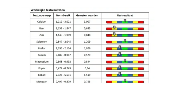Voorbeeld testresultaat corpus analyser