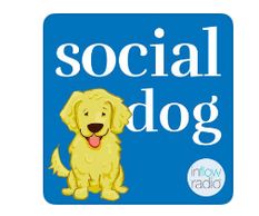 Social Dog Cindi Carter chats  animal communication and dog stories with podcaster Liz Murdoch