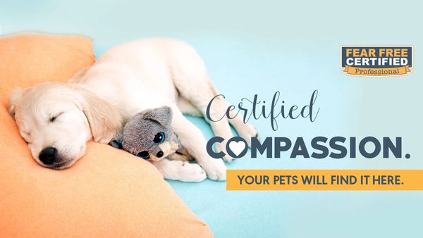 A sleeping puppy cuddling with a toy overlaid with text that says "Certified Compassion."