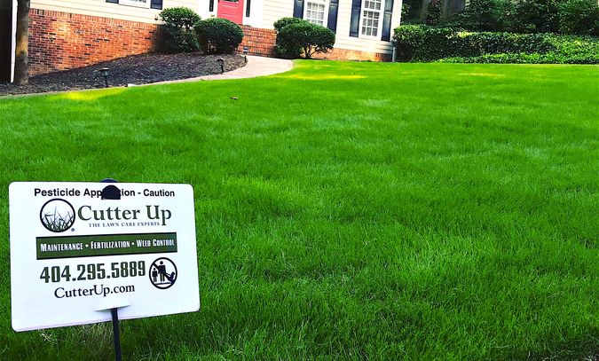 Lawns we fertilize and weed control
