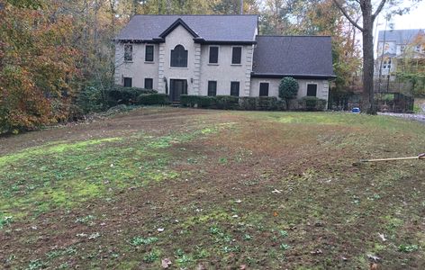 Lawn renovation Before our aeration and seeding service.