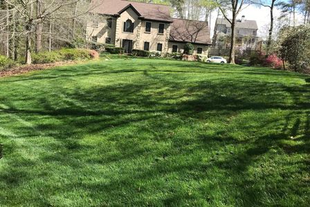 Lawns we fertilize and weed control