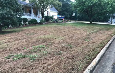 Lawn renovation