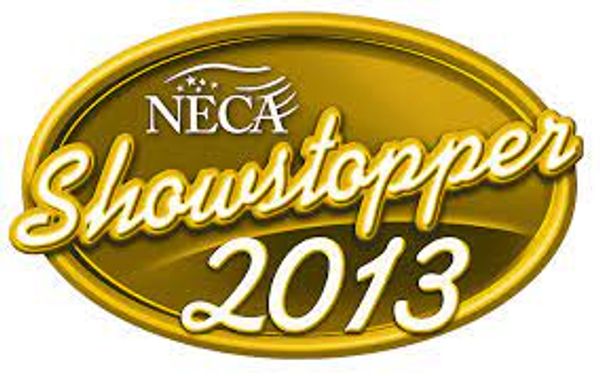 NECA Showstopper Award 2013