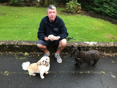 Dog Trainer Glasgow