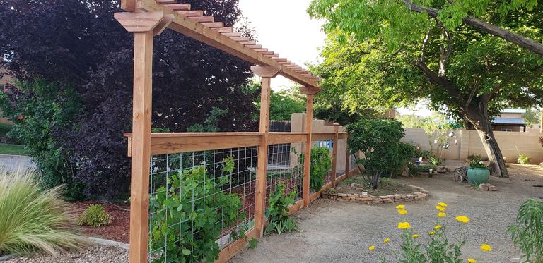 Sol O Alire Construction