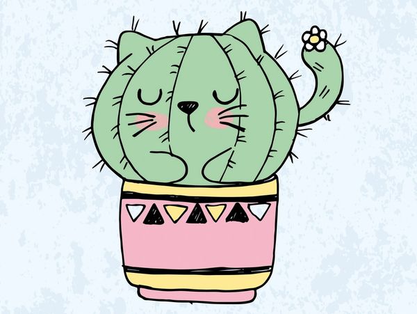 Cute cactus shaped like a sleeping cat in a decorative pink pot.