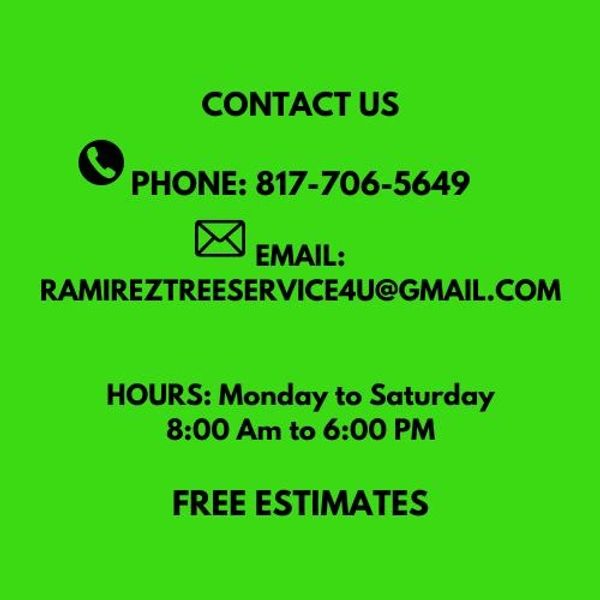 Contact info with phone, email, hours, and free estimates offer on bright green background.