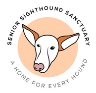 Senior Sighthound Sanctuary