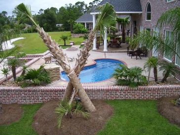 kidney pool installed by armstrong pools & outdoors - opal