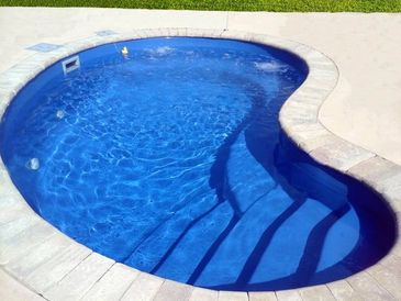 kidney pool installed by armstrong pools & outdoors - pixie