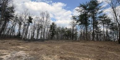 A clearing in a forested area under a partly cloudy sky.