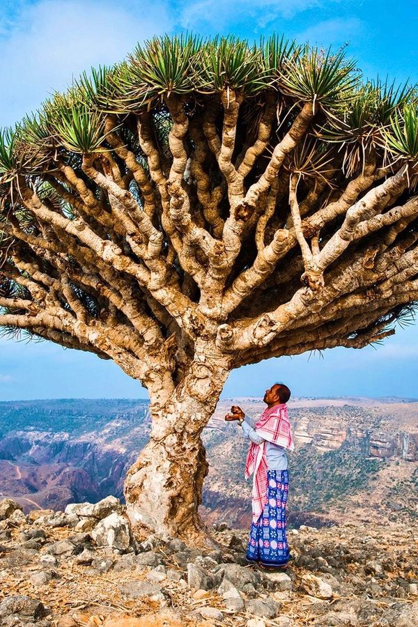 Image credit MARTIN EDSTROM, NATIONAL GEOGRAPHIC CREATIVE