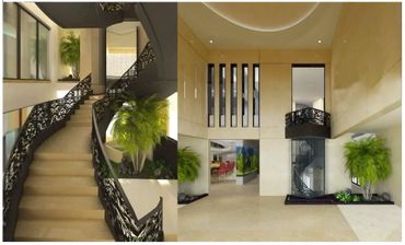 Modern interior with elegant spiral staircase and lush indoor plants.