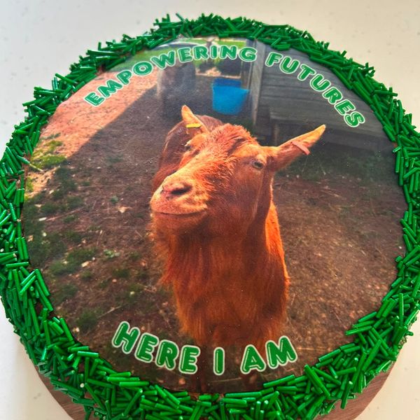 Cake with a goat image and green icing that says Empowering Futures Here I Am.