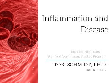 Dr. Tobi Schmidt, Stanford Continuing Studies, Inflammation and Disease online course
