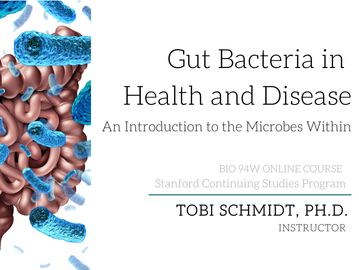 Dr. Tobi Schmidt, Stanford Continuing Studies, Gut Health, Gut Bacteria in Health and Disease online