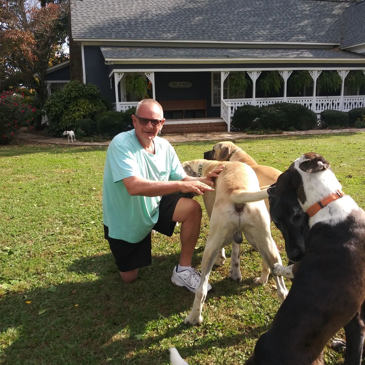 Man kneeling with three large dogs outside a house.